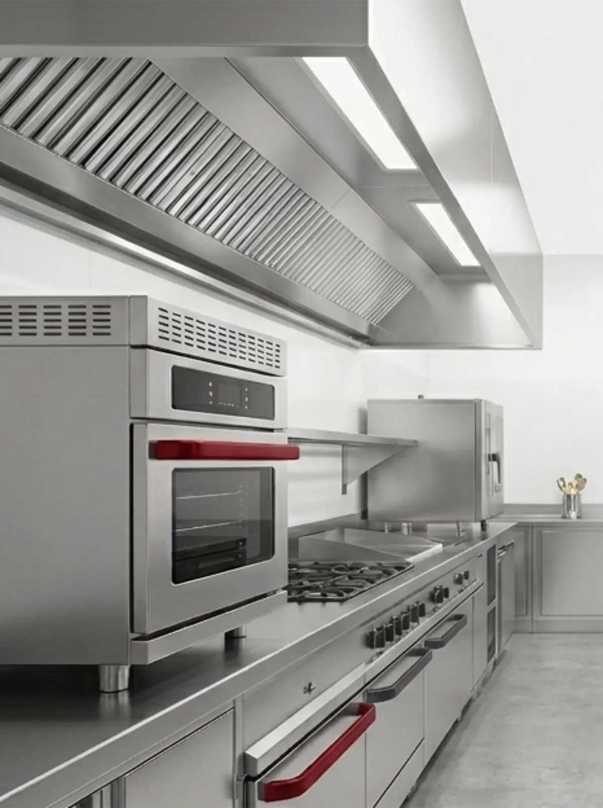 Professional Kitchen